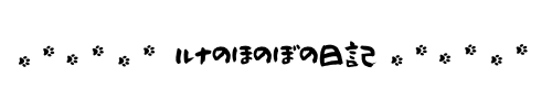 ルナのほのぼの日記